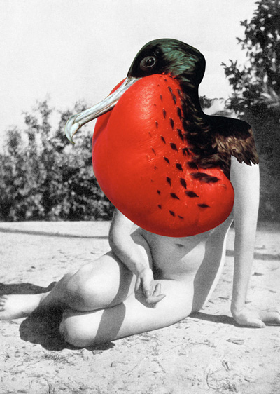 Sabrina Jung, Beutetiere,  Photography, Collage,  2011