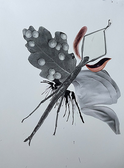 Sabrina Jung, Collage