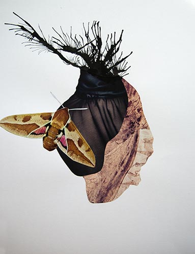 Sabrina Jung, Collage