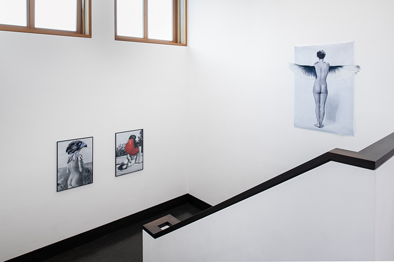 Beutetiere, Installationview, Galerie Gisela Clement, Bonn, 2021, Foto: David Ertl