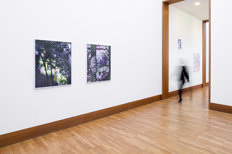 After Nature, Installationview, Galerie Gisela Clement, Bonn, 2021, Foto: David Ertl